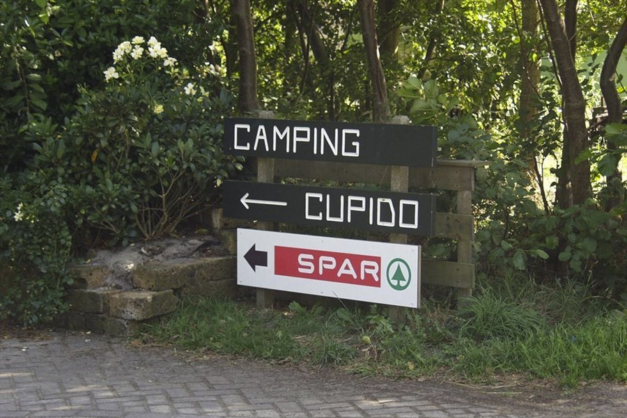 Spar camping Cupido Terschelling